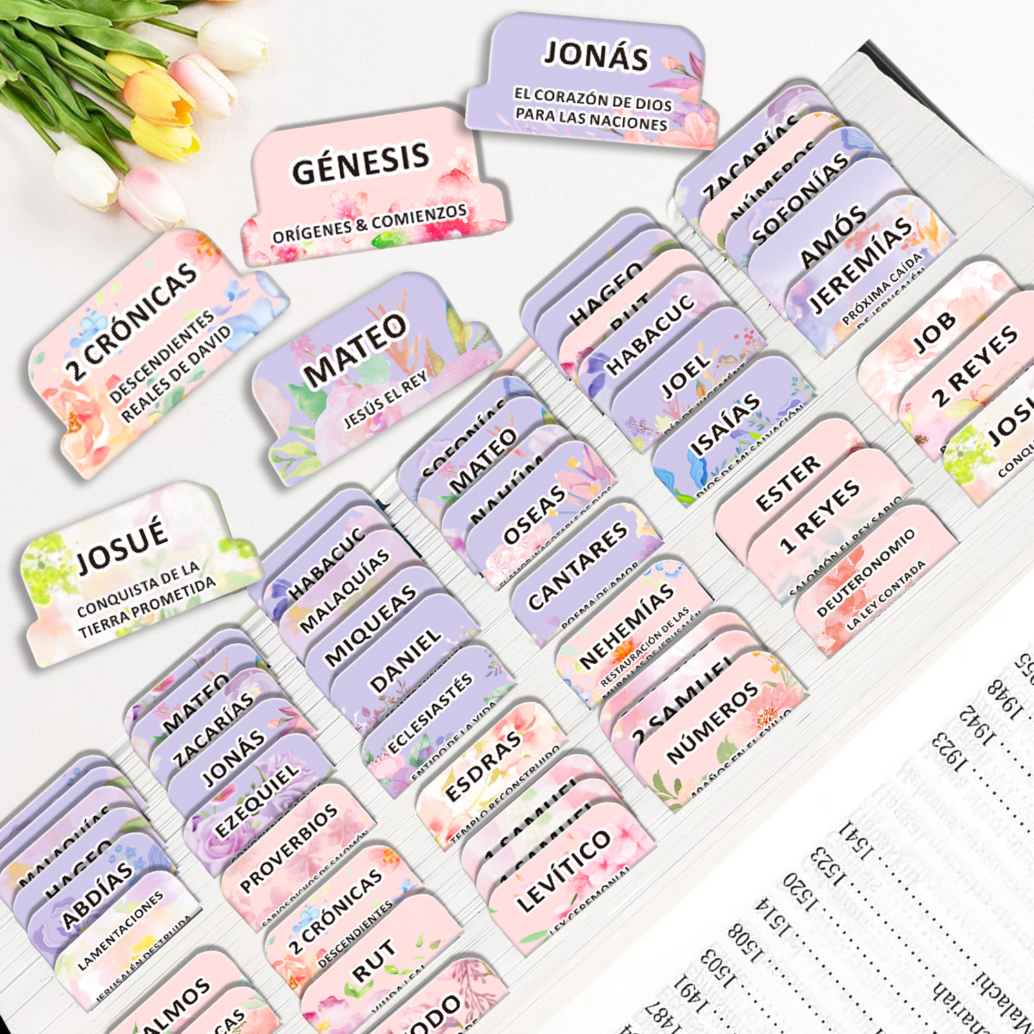 80pcs Spanish Bible Tabs-Soul  – обзор и цена Index Tab Divider