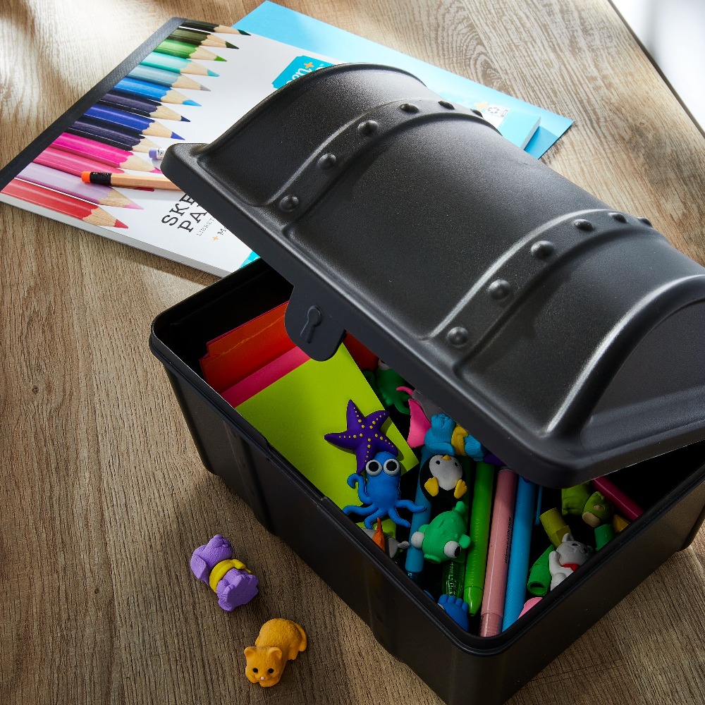Treasure Box Desktop Organizer – обзор и цена Office Supply Office Stationery Items